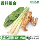 香茅柠檬叶泰国南姜组合新鲜香料菜混合500g调料调味冬阴功汤材料 1000g