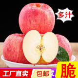 烟台苹果水果栖霞红富士新鲜生鲜果山东特产脆甜 精品果 净重2.5斤（果径75mm以上）