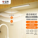 公牛（BULL）感应橱柜灯衣柜灯LED人感光感磁吸 卧室床沿玄关小夜灯40CM4000K