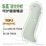乐瓜睡觉抱枕玩偶女生夹腿抱枕长条靠枕床上靠垫等身靠背垫可拆洗 加大恐龙-冰凉款103*27*17cm