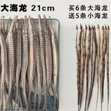 彦夕堂品质大海龙新鲜干货大刁六角海龙海产干货中药材海产海星煲汤泡酒 6条【21厘米】+送5条小海龙
