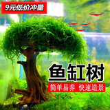 逸乐宠莫斯树水草鱼缸造景无土淡水增氧水族箱懒人沉木鱼缸活体淡水植物 成品莫斯树(高7-8cm单头)