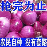 限时特惠】山东洋葱葱紫皮红皮洋葱现挖圆葱头正宗大果紫洋葱新鲜 限时钜惠：速抢//带箱 9斤 -中果