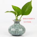 冠临乐 龙泉青瓷创意家居装饰品摆件 手工个性时尚小花器 台面水培花插 哥窑铁线粉青小花瓶