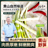 杨博士黄山野笋 净重200g/袋 新鲜春笋脆笋嫩笋尖清水竹笋凉拌火锅食材