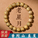 祥隐【普陀山直发】星月菩提子手串文玩佛珠盘串正宗海南老料男女礼物 老星月菩提10mm