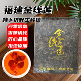 康裕尊  金线莲干品林下种植整株福建南靖土楼 金线莲【精选250g-原装整盒】