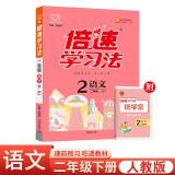 24春倍速学习法 二年级下册 语文人教版 RJ小学2年级课本同步教材解读知识点讲解教材考点精讲