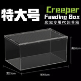 Barbarous Growth爬宠亚克力饲养盒爬虫守宫寄居蟹箱蜥蜴蛇角蛙蜘蛛蜗牛甲虫生态缸 特大号饲养箱40*20*25