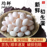 均鲜新鲜初生鸽子蛋宝宝鸽蛋杂粮喂养农家田园养殖特产信鸽蛋白鸽蛋 30枚 450g 左右宝宝初生蛋