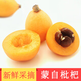 绿养道云南蒙自枇杷新鲜枇杷果 新鲜水果 净重 单果20g+ 礼盒装4斤