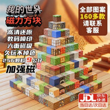 赟娅大颗粒积木我的世界磁力片磁力积木方块拼装玩具男生男孩毕业礼物 礼盒装【256颗+9公仔】随机块 6-10-12岁男孩女孩生日礼物