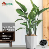 绿族（LVZU）简约木里花盆特大号客厅办公落地阳台种植花卉大型绿植加厚大口径