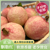 广照增城胭脂红番石榴红心奶油芭乐水果次日达红芭乐果低糖水果巴乐 净果5斤【同城当日达】顺丰