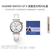 华为（HUAWEI）【吴磊活力同行礼盒】WATCH GT5+明星周边小卡贴纸冰箱贴骑行飘带运动跑步骑行健康监测女表礼物