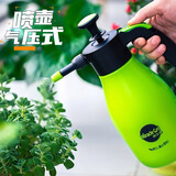 美乐棵喷壶 家用气压式浇花水壶喷水盆栽洒水壶喷雾器办公室消毒清洁 2L-清雅绿