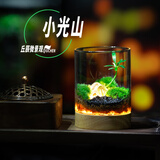 丘辰生命之树苔藓微景观生态瓶diy办公桌面绿植摆件造景花卉盆栽礼物 小光山（小夜灯底座） 微景观