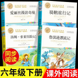 【全4册】鲁滨逊漂流记+爱丽丝漫游奇境+汤姆·索亚历险记+骑鹅旅行记 快乐读书吧六年级下册课外必