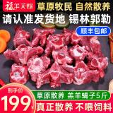 福羊天赐散养半只羊10斤 羊肉 生鲜 内蒙古锡盟羊腿羊排羊蝎子 年货礼盒 羔羊蝎子5斤