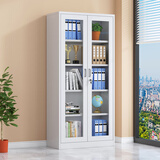 异彩年华钢制文件柜铁皮柜子储物柜带锁办公室五节财务凭证档案资料收纳柜 通玻五层(整体发货，破损包赔) 促销款