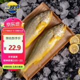 三都港 冷冻宁德大黄鱼700g 2条装 黄花鱼 生鲜 鱼类 深海鱼 海鲜水产