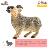 Wenno仿真家禽儿童早教认知玩具猪羊奶牛模型男女孩过家家玩具动物摆件 公绵羊（Ram）