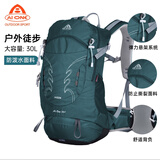 艾王专业户外轻便登山双肩背包30升大容量背负系统骑行徒步旅行防泼水 墨绿色 30升【送防雨罩】