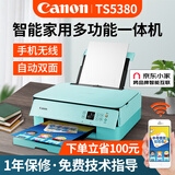 佳能（Canon） TS5380打印机家用喷墨连供彩色黑白家庭学生手机无线照片复印扫描一体机自动双面 套餐一【粉绿】主机+易加墨墨盒+墨水8瓶