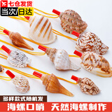 Aseblarm【4个】天然海螺号角可吹响喇叭儿童玩具海螺贝壳工艺品贝壳哨子 海螺号角(随机4款） 5-10厘米