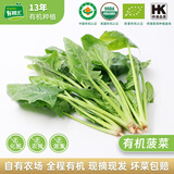有机汇有机菠菜 绿叶青菜火锅菜有机蔬菜  有机认证农场种植 新鲜无农残 500g