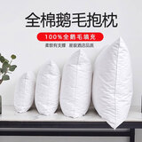 白鹅毛羽绒抱枕芯内胆羽毛靠枕45 50全棉沙发腰靠垫办公室靠背垫 全棉鹅毛抱枕（100%鹅毛填充） 45x45cm