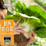 ldeal理想农业 甜糯奶白菜种子四季速生矮脚白种籽夏季种耐热蔬菜种子