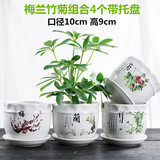 仟尚艺陶瓷创意带托盘个性简约家用桌面绿萝吊兰肉肉植物绿植花盆多肉盆 MLZJ组合4个带托盘 大