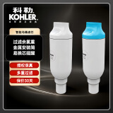 科勒（KOHLER） 尚思新悦2.0智能座便器滤芯1250837仅送货不安 智能马桶滤芯适配于77795/77780