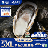 贝司令（BEISILING）【鲜活】乳山生态生蚝牡蛎贝类烧烤源头直发5XL净重9斤 端午聚餐