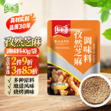 乐畅孜然芝麻调味料40g 空气炸锅调料 烧烤蘸撒料烤肉串香辛盐料