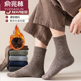 俞兆林【5双装】袜子男中筒袜秋冬季ins潮素色中筒男冬天加厚保暖毛圈袜 LW加厚毛圈袜 5双 均码 （39-43）