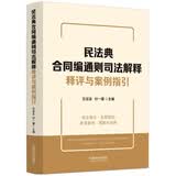民法典合同编通则司法解释释评与案例指引