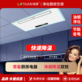 绿源(LVYUAN)厨房空调专用单冷除湿凉霸照明抗油烟吊顶嵌入家用吸顶隐藏式一体机T8/300*600净化直吹空 小1匹 套装 自清洁系列-1800W工位型-1孔 T8系列