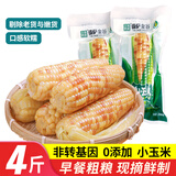 傣萨金谷西双版纳香糯小玉米花糯玉米4斤云南即食玉米真空包装早餐低脂