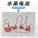  舜江 水果电池材料包实验套装diy科学器材幼儿园盐水可乐电池发电装置原电池 高纯度的铜片锌片+鳄鱼夹款