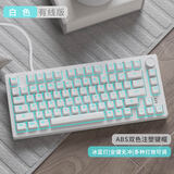 达尔优EK75侧刻有线/2.4G/蓝牙三模GASKET结构单键开槽RGB客制化游戏无线热插拔机械键盘男女 白色有线青轴 单模有线 80键