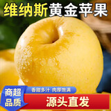 泽华果品山东烟台维纳斯苹果 栖霞黄苹果水果整箱源头直发包邮 净重4.5-5斤单果160g+ 源头直发