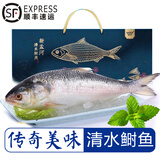 太湖海【年货珍馐礼盒】鲥鱼 鲜活现捕冰鲜淡水鱼类 江苏特产新孟河春节 鲥鱼（1.4-1.9斤/条）礼盒装