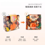 景秀姜山车载干花香包TheGreenParty香薰摆件香料花瓣装饰车酒店室内卧室 橙色(新老包装随机发货) 干花包