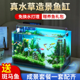 西游水族鱼缸水族箱客厅小型迷你桌面免换水生态造景小金鱼缸热弯超白玻璃 长35*宽20*高22-云影群峰款造景全套