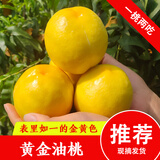 佐什正宗北京平谷黄金油桃蜜桃子鲜桃水蜜桃黄心油桃鲜甜清脆时令 黄油桃 12颗牛皮纸礼盒装