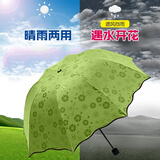 惠寻自动雨伞男女折叠太阳伞晴雨两用防晒遮阳伞 遮阳伞手动晴雨两用绿色 8股
