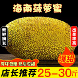 禧友鲜 海南菠萝蜜整个 黄肉干苞 波罗密 大树木菠萝 三亚当季新鲜水果 25-30斤|推荐大果 果多肉厚