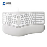 SANWA SUPPLY ERG5 101键有线键盘 人体工学薄膜键盘 3口USB接口 软垫腕托 附Type-C转换线 复古白